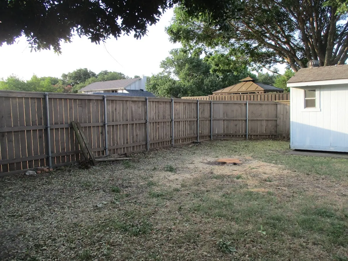 Cleared yard after professional tree removal in Red Boiling Springs